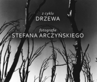 Drzewa. Fotografie Stefana Arczyńskiego